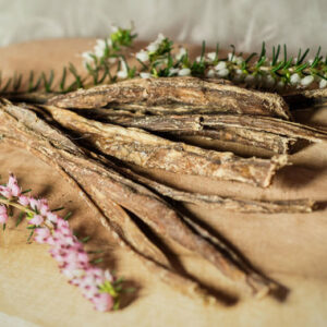 Sticks puppy - buffle