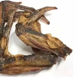 * Ailes - canard - 250G