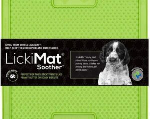 * Lickimat - Soother – Image 2