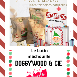 * Calendrier de l'Avent "Le lutin Mâchouille"