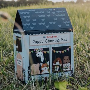 Box mastication spécial chiot